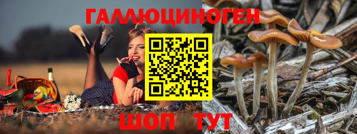 Галлюциногенные грибы Cubensis  закладка  Апшеронск  Вход с VPN 
