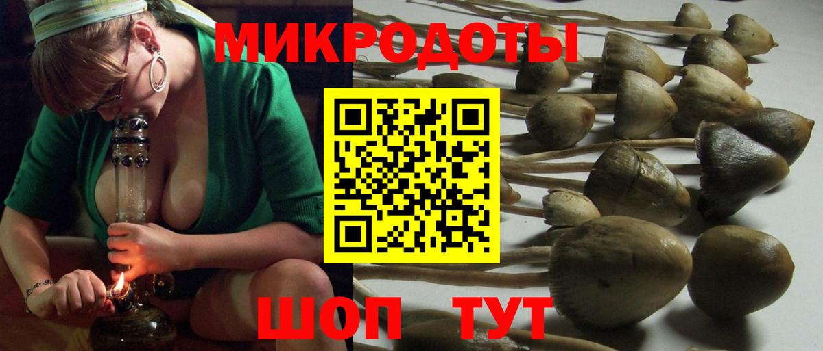 Галлюциногенные грибы MAGIC MUSHROOMS  Апшеронск  Галлюциногенные грибы мицелий 