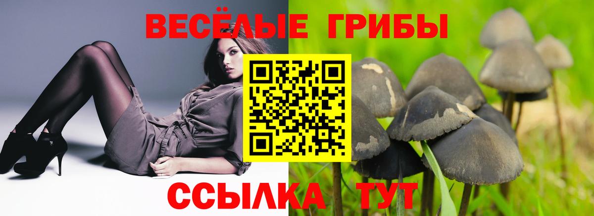 Галлюциногенные грибы MAGIC MUSHROOMS  Вход с VPN  Апшеронск 